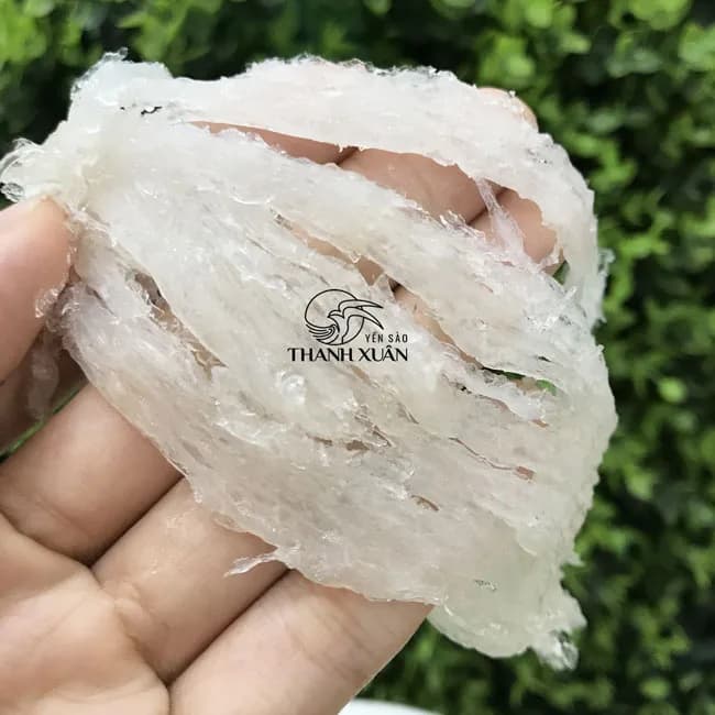 Yến Tươi Siêu Sợi VIP